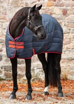 Amigo Mio Insulator Heavy - Navy/Red