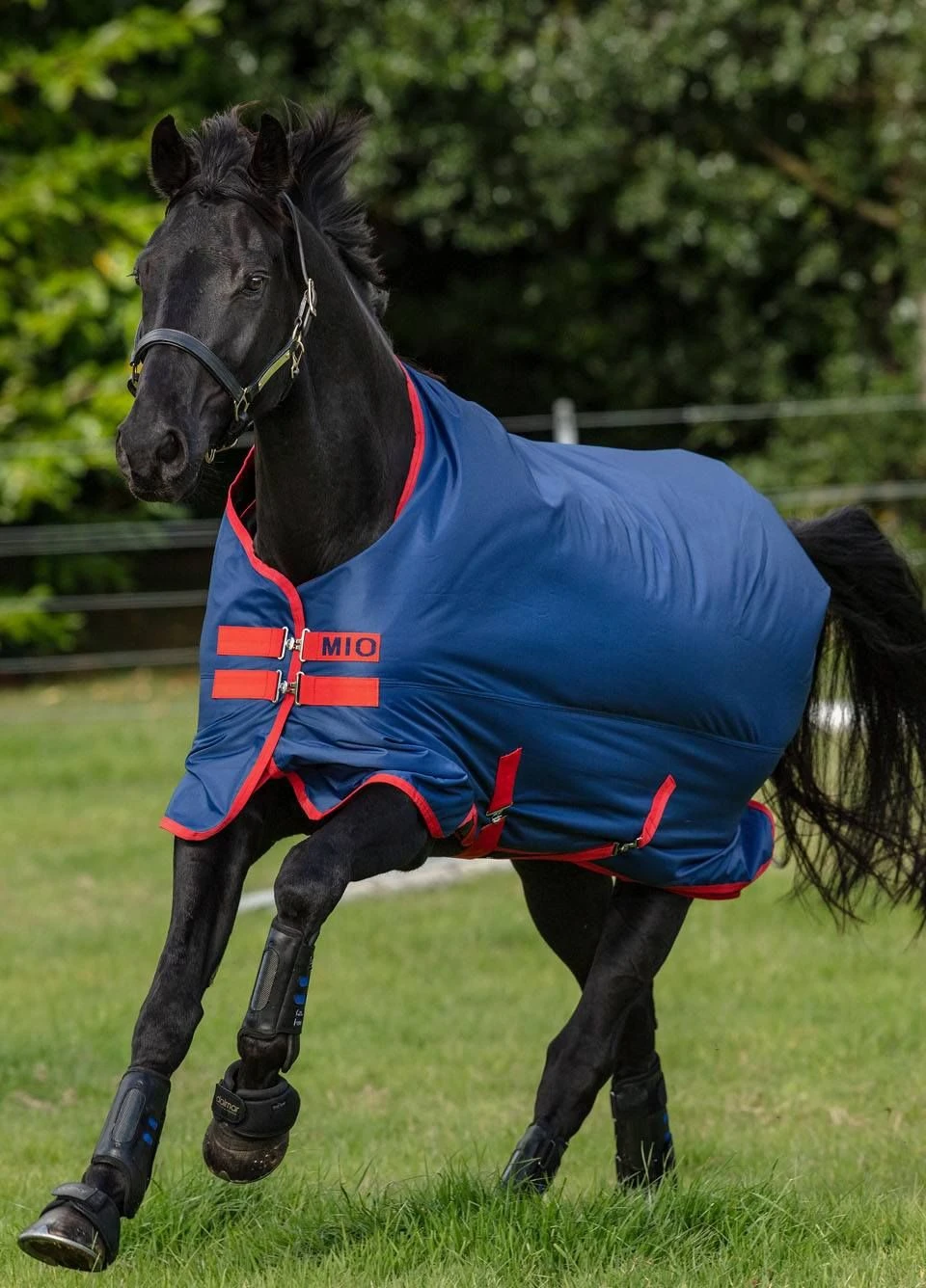 Amigo Mio Medium Turnout - Dark Blue/Red 3 Amigo Mio Medium Turnout - Dark Blue/Red