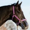 KM Elite ThinLine Flexible Filly Grazing Muzzle - Clear 1 KM Elite ThinLine Flexible Filly Grazing Muzzle - Clear -Lemieux Equestrian Supplies Shop muzzlebreatherdy
