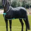 Amigo Net Cooler - Black/Teal 1 Amigo Net Cooler - Black/Teal -Lemieux Equestrian Supplies Shop netcooler 1