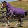 Weatherbeeta Comfitec Plus Dynamic Combo Med/Lite Turnout - Purple/Black -Lemieux Equestrian Supplies Shop plusdynamiccomboliterdy