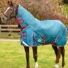 Weatherbeeta ComFiTec Plus Dynamic Combo Medium/Lite Turnout - Teal/Cer/Yell 2 Weatherbeeta ComFiTec Plus Dynamic Combo Medium/Lite Turnout - Teal/Cer/Yell -Lemieux Equestrian Supplies Shop plusdynamiccombomedlite