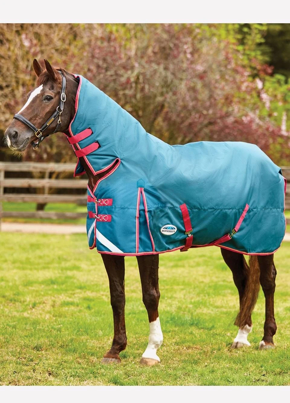 Weatherbeeta ComFiTec Plus Dynamic Combo Medium/Lite Turnout - Teal/Cer/Yell 3 Weatherbeeta ComFiTec Plus Dynamic Combo Medium/Lite Turnout - Teal/Cer/Yell