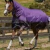 Weatherbeeta ComFiTec Plus Dynamic Combo Medium Turnout - Purple/Black