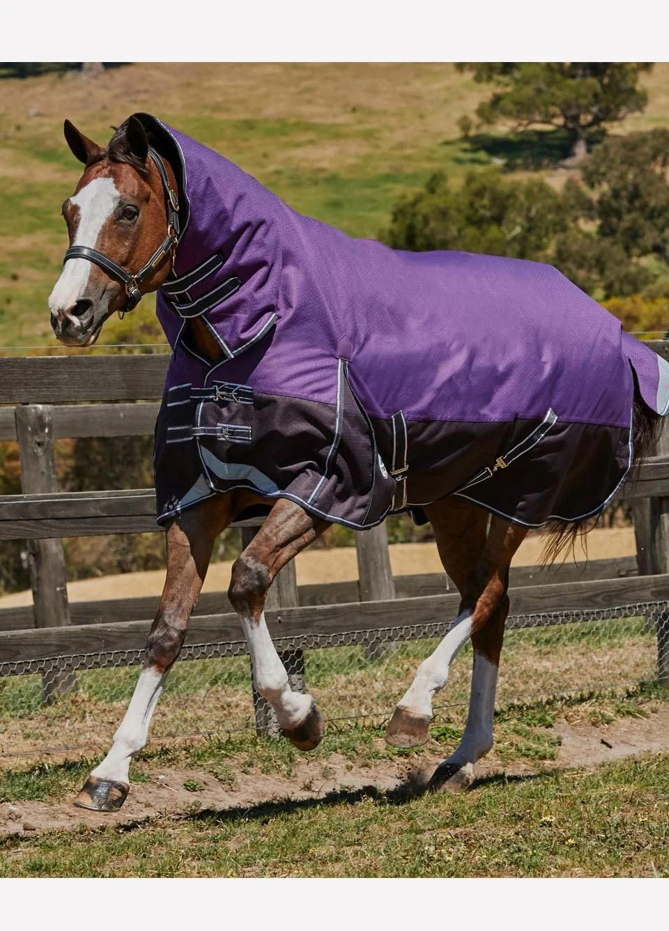 Weatherbeeta ComFiTec Plus Dynamic Combo Medium Turnout - Purple/Black 3 Weatherbeeta ComFiTec Plus Dynamic Combo Medium Turnout - Purple/Black