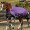 WeatherBeeta ComFiTec Plus Dynamic Standard Neck Lite Rug - Purple/Black -Lemieux Equestrian Supplies Shop plusdynamicstdlite2rdy