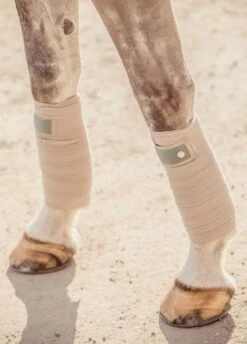 PS Of Sweden Bow Polo Bandages - Thyme -Lemieux Equestrian Supplies Shop psbandagethyme2rdy