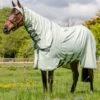 Rambo Hoody - Green/Sage -Lemieux Equestrian Supplies Shop rambo hoody green sage 1rdy