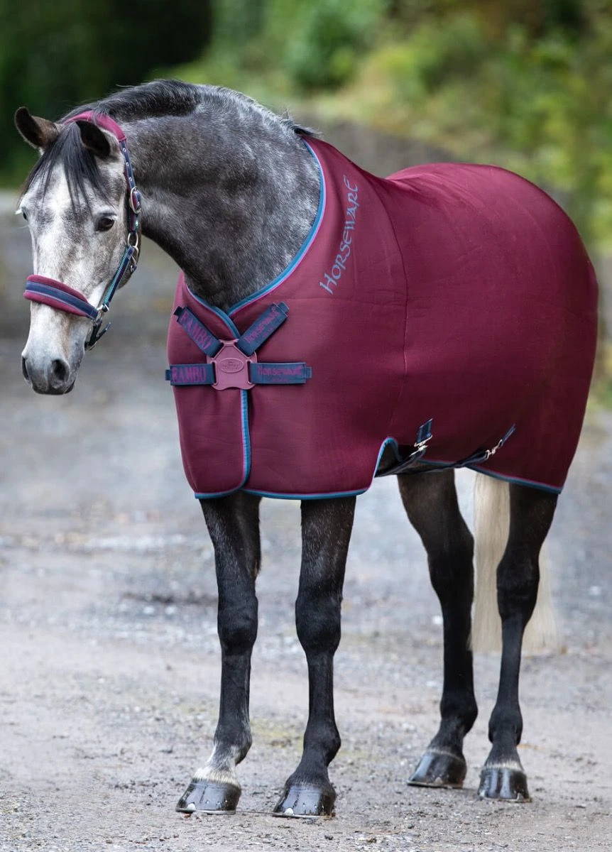 Rambo Airmax Cooler Disc Front - Burgundy 3 Rambo Airmax Cooler Disc Front - Burgundy