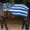 Rambo Fleece Competition Sheet - Navy Stripe -Lemieux Equestrian Supplies Shop rambocompetitionsheet2