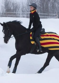 Rambo Fleece Competition Sheet - Witney Gold Stripe