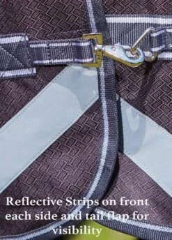 Weatherbeeta ComFiTec Plus Dynamic Combo Medium/Lite Turnout - Teal/Cer/Yell 14 Weatherbeeta ComFiTec Plus Dynamic Combo Medium/Lite Turnout - Teal/Cer/Yell -Lemieux Equestrian Supplies Shop reflectivestrips 5