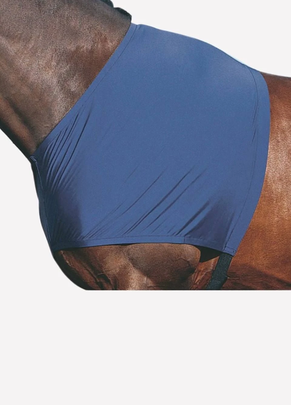 Weatherbeeta Stretch Shoulder Guard - Navy 4 Weatherbeeta Stretch Shoulder Guard - Navy - Image 2