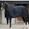 New Bucas Shamrock Power Rug - Black -Lemieux Equestrian Supplies Shop samrockblack