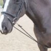 Shires Soft Lunging Aid - Black -Lemieux Equestrian Supplies Shop shires soft lunge aid black 1rdy
