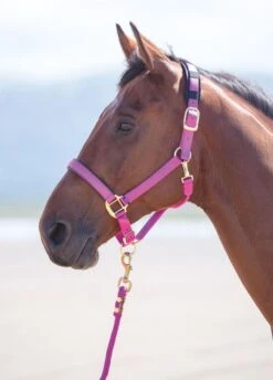 Shires Topaz Padded Headcollar - Raspberry
