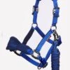 LeMieux Vogue Fleece Headcollar & Rope - Navy/Royal Blue 2 LeMieux Vogue Fleece Headcollar & Rope - Navy/Royal Blue -Lemieux Equestrian Supplies Shop voguehcroyalblurdy