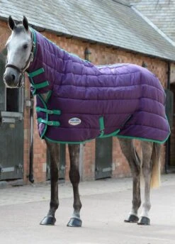 Weatherbeeta 210D Channel Quilt Combo Medium - Bright Purple/Green