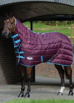 Weatherbeeta 210D Channel Quilt Combo Medium - Grape/Blue