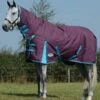 Weatherbeeta Essential Combo Neck Medium - Grape/Blue -Lemieux Equestrian Supplies Shop wb combo grape 1rdy
