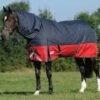 Weatherbeeta Plus Dynamic II Detach-A-Neck Medium - Black/Red/Silver 1 Weatherbeeta Plus Dynamic II Detach-A-Neck Medium - Black/Red/Silver -Lemieux Equestrian Supplies Shop wb dynamic detach black red 1rdy