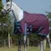 Weatherbeeta Essential Standard Neck Medium - Grape/Blue 2 Weatherbeeta Essential Standard Neck Medium - Grape/Blue -Lemieux Equestrian Supplies Shop wb standard medium grape 1rdy