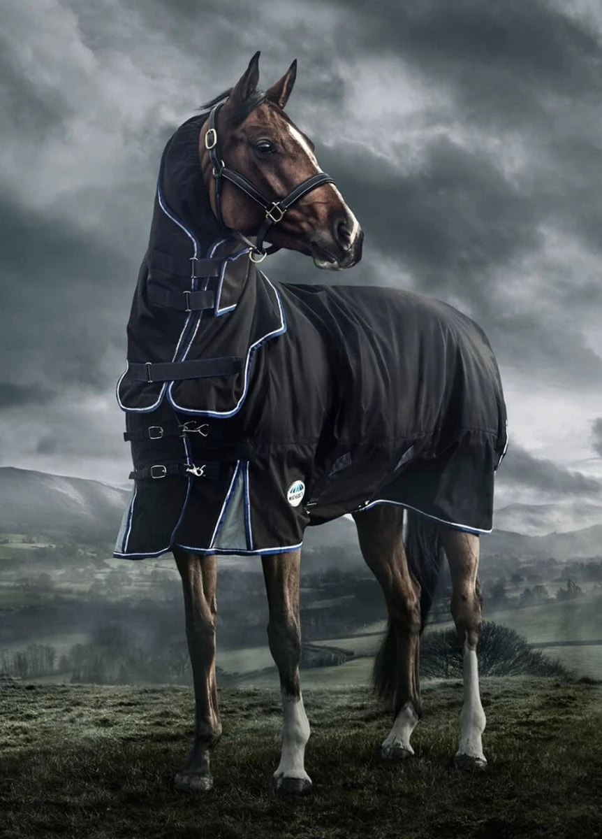 Weatherbeeta Ultra-Cozi II Detach-A-Neck Medium - Charcoal/Blue/White 3 Weatherbeeta Ultra-Cozi II Detach-A-Neck Medium - Charcoal/Blue/White