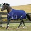 Weatherbeeta Comfitec Essential Standard Medium - Navy/Silver/Red -Lemieux Equestrian Supplies Shop wb11