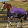 Weatherbeeta Comfitec Plus Dynamic Standard Neck Medium/Lite Turnout - Purple/Black -Lemieux Equestrian Supplies Shop wb2