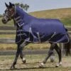 Weatherbeeta ComFITec Essential Combo Med - Navy/Silver/Red -Lemieux Equestrian Supplies Shop wb5