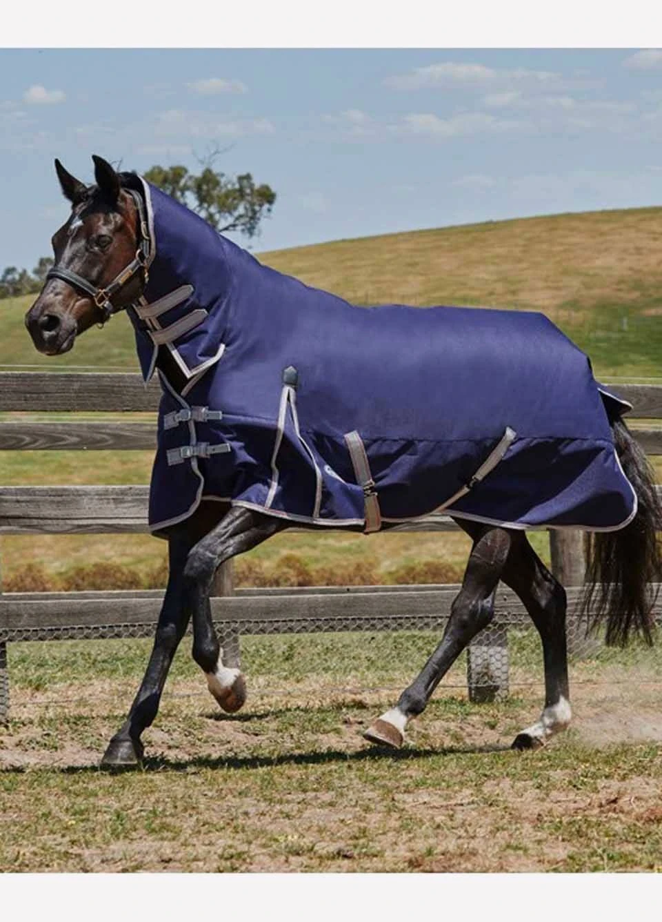 Weatherbeeta ComFITec Essential Combo Heavy - Navy/Silver/Red 3 Weatherbeeta ComFITec Essential Combo Heavy - Navy/Silver/Red