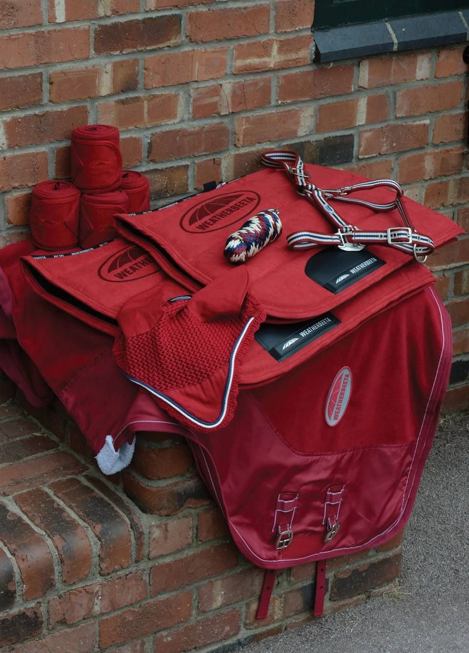 Weatherbeeta Coordinate Headcollar - Ruby 5 Weatherbeeta Coordinate Headcollar - Ruby - Image 3