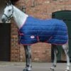 Weatherbeeta 210D Channel Quilt Standard Neck Medium - Blueberry/Pink -Lemieux Equestrian Supplies Shop wbchannelstdmedblueberry1rdy