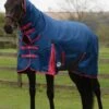 Weatherbeeta ComFITec Classic Combo Neck Medium - Blueberry/Pink -Lemieux Equestrian Supplies Shop wbcomboblueberryrdy