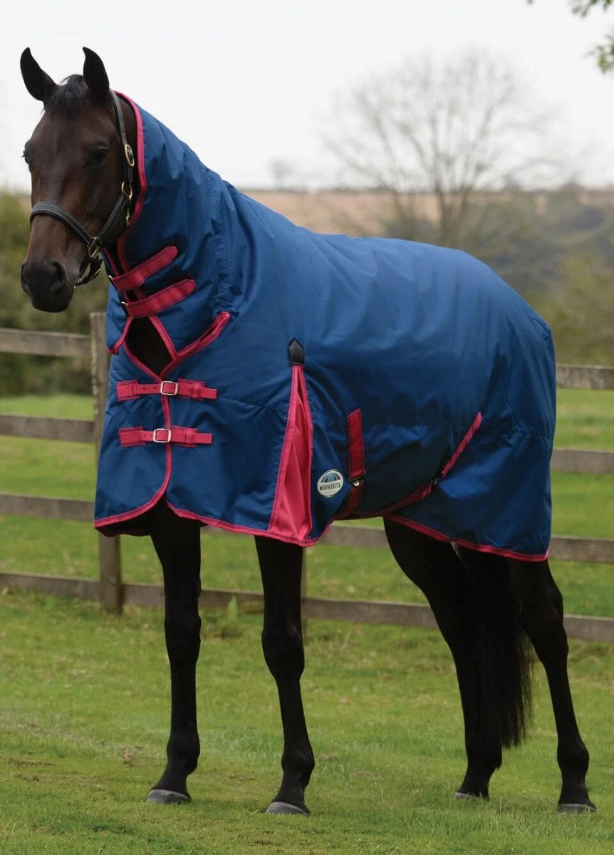 Weatherbeeta ComFITec Classic Combo Neck Medium - Blueberry/Pink 3 Weatherbeeta ComFITec Classic Combo Neck Medium - Blueberry/Pink