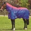 Weatherbeeta Comfitec Plus Dynamic Combo Lite Turnout - Purple Ombre 1 Weatherbeeta Comfitec Plus Dynamic Combo Lite Turnout - Purple Ombre -Lemieux Equestrian Supplies Shop wbdynamiccombolitepurpleombrerdy