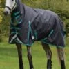 Weatherbeeta ComFITec Plus Dynamic II Combo Neck Medium - Black/Aqua -Lemieux Equestrian Supplies Shop wbdynamiciicomboblackaquardy