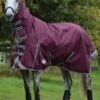 Weatherbeeta ComFITec Plus Dynamic II Combo Neck Medium/Lite - Maroon/Grey/White -Lemieux Equestrian Supplies Shop wbdynamiciicombomaroonrdy 1