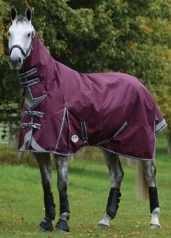 Weatherbeeta ComFITec Plus Dynamic II Combo Neck Medium/Lite - Maroon/Grey/White