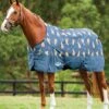 WeatherBeeta Comfitec Essential Standard Neck Lite - Giraffe -Lemieux Equestrian Supplies Shop wbessentialstandardlitegirafferdy