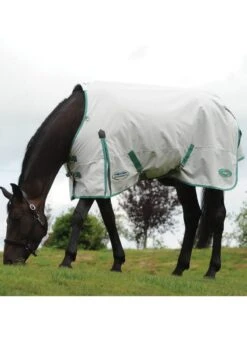 Weatherbeeta Green-Tec 900D Standard Neck Lite Plus - Light Grey/Bottle Green -Lemieux Equestrian Supplies Shop wbgreenstandardlitepluslgreybgreenrdy