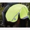 Weatherbeeta 300D Reflective Exercise Sheet - Yellow 1 Weatherbeeta 300D Reflective Exercise Sheet - Yellow -Lemieux Equestrian Supplies Shop wbreflectiverug