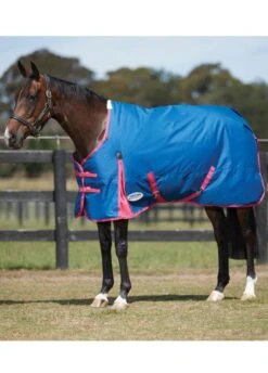 Weatherbeeta ComFITec Classic Standard Neck Med/Lite - Blueberry/Pink