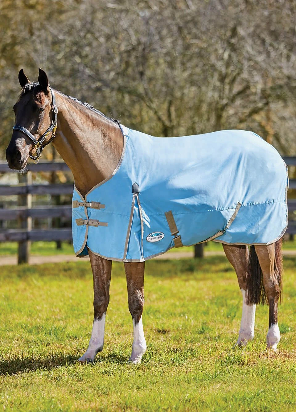 WeatherBeeta ComFiTec Classic Standard Neck Lite Turnout Rug - Blue/Taupe 3 WeatherBeeta ComFiTec Classic Standard Neck Lite Turnout Rug - Blue/Taupe