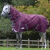Weatherbeeta ComFITec Plus Dynamic II Detach-A-Neck Lite - Maroon/Grey/White -Lemieux Equestrian Supplies Shop weatherbeeta dynamic detach lite maroon 1rdy