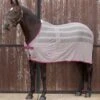 Weatherbeeta Scrim Cooler - Dark Grey/Orchid -Lemieux Equestrian Supplies Shop weatherbeeta scrim cooler dark grey orchid 1rdy