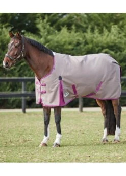 Weatherbeeta ComFITec Essential Standard Neck Lite Plus - Dark Grey/Orchid