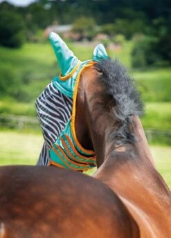 Shires Zeb-Tek Fly Mask - Zebra -Lemieux Equestrian Supplies Shop zebraflymasktealrdy