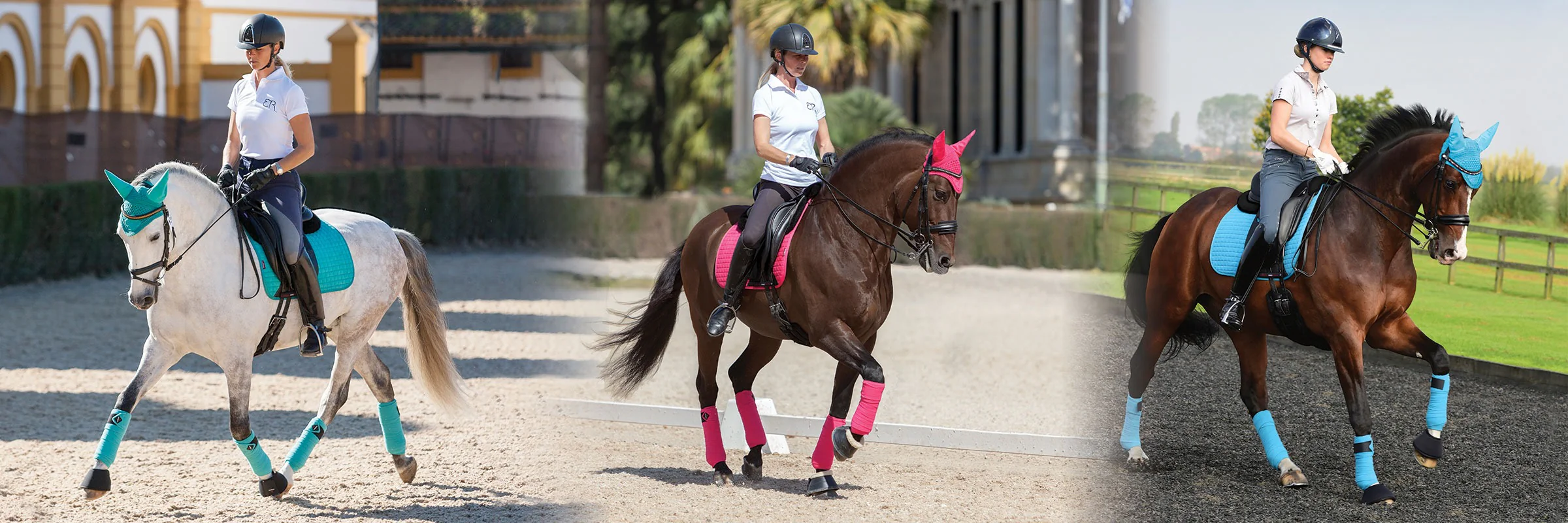 Lemieux Equestrian Supplies Shop -Lemieux Equestrian Supplies Shop