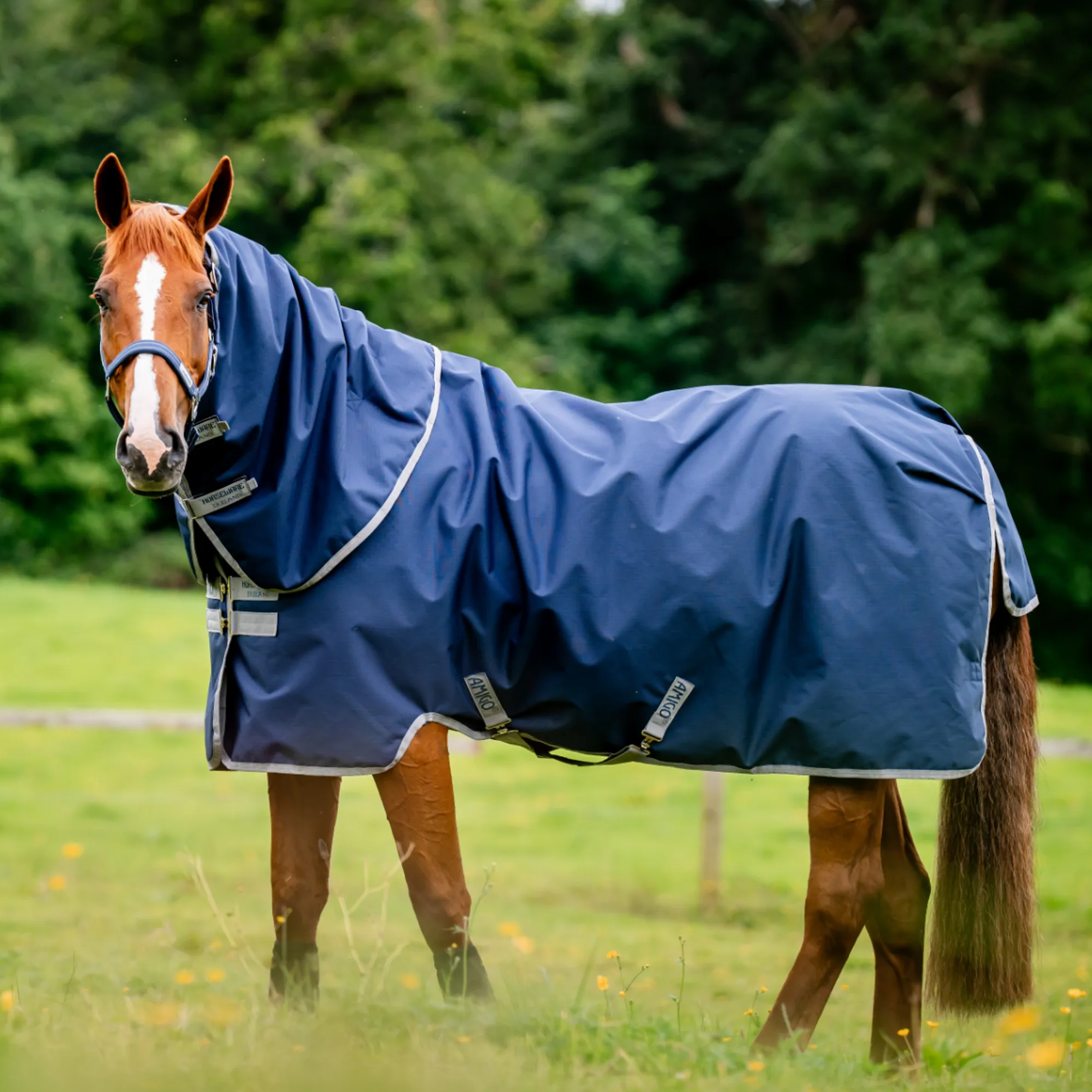 Lemieux Equestrian Supplies Shop -Lemieux Equestrian Supplies Shop ripstop 900d plus turnout 100g light navy9.png